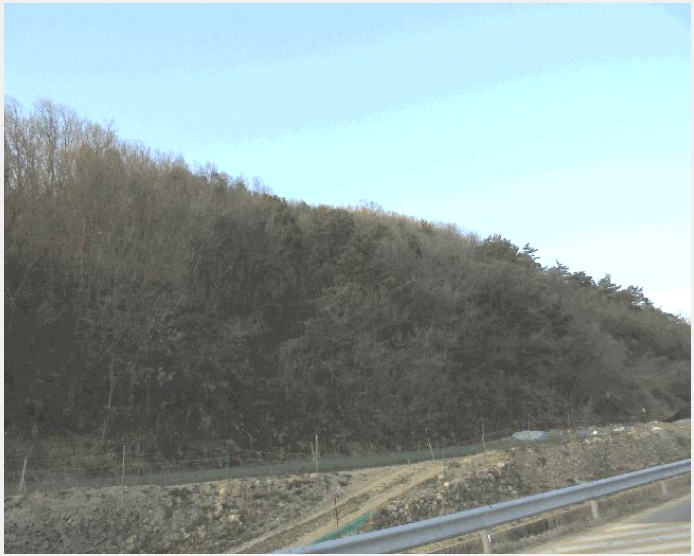 �� 9-â�籺 �輺�� �Ŵ縮-��