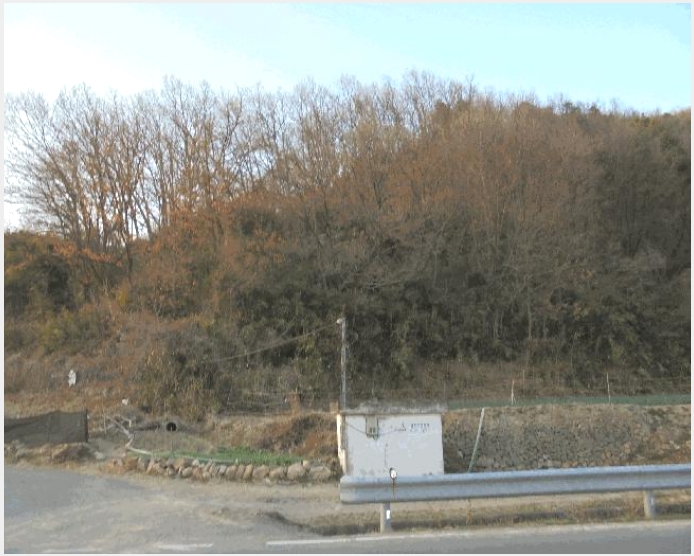�� 4-â�籺 �輺�� �Ŵ縮-��