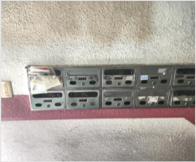 �ټ���(����) 6-���� ���̵� 308-6-�ټ���(����)