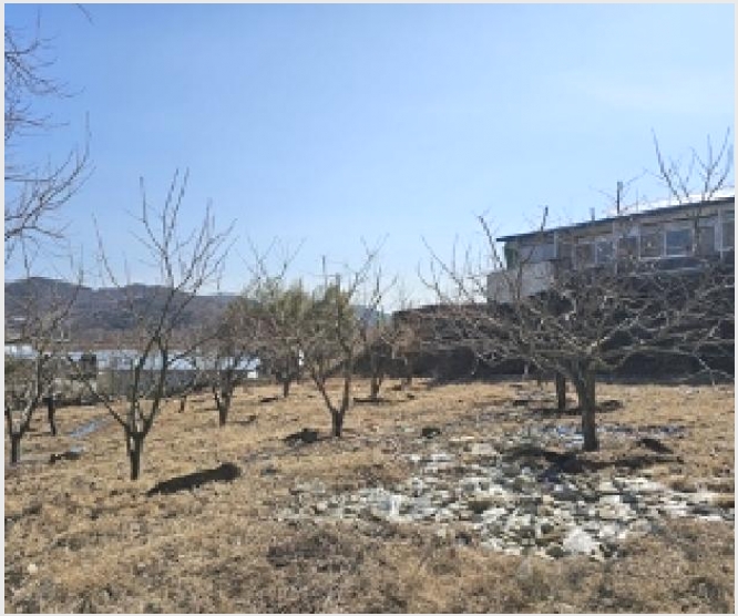 �ܵ����� 8-��û�� �ܼ��� �ھ縮-�ܵ�����