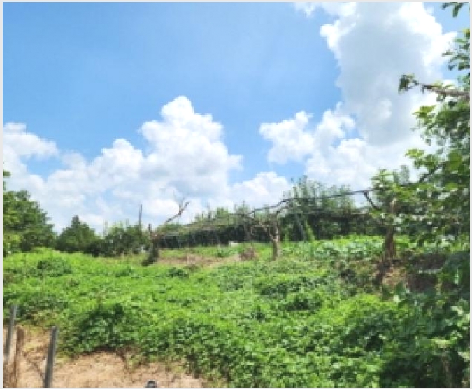 �� 7-���ֽ� ��õ�� ������-��