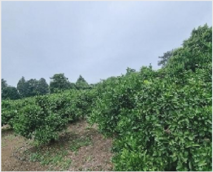 â�� 7-�������� ���� 1525-1-â��