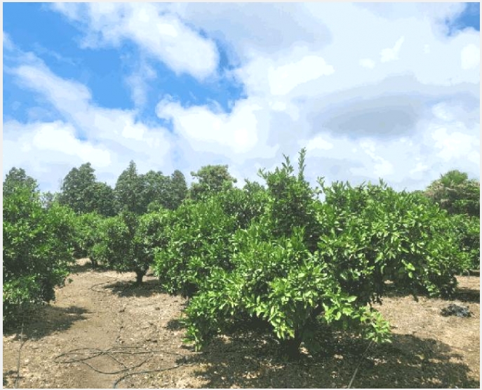â�� 10-�������� ���� 1525-1-â��