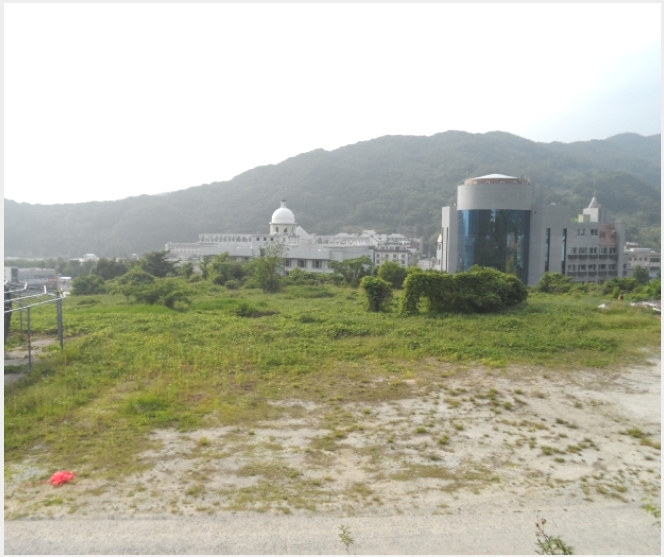 �ܵ�(ȣ��) 5-���ʱ� �굿�� ���긮-�ܵ�(ȣ��)