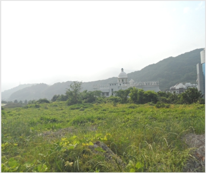 �ܵ�(ȣ��) 4-���ʱ� �굿�� ���긮-�ܵ�(ȣ��)