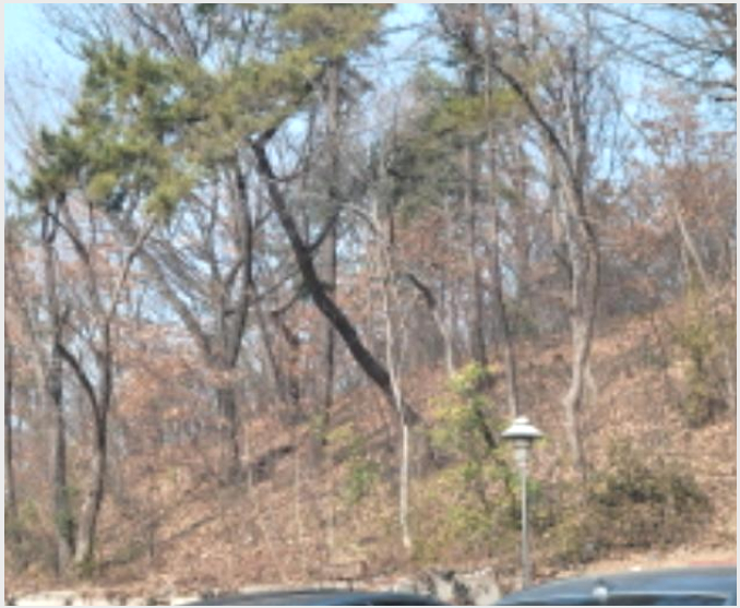 �Ӿ� 6-������ �λ굿 612-15-�Ӿ�