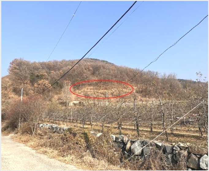 �Ӿ� 4-�о�� �곻�� �۹鸮-�Ӿ�