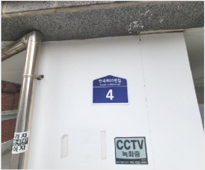 �ټ���(����) 5-��õ�� �һ籸 ���ȵ�-�ټ���(����)
