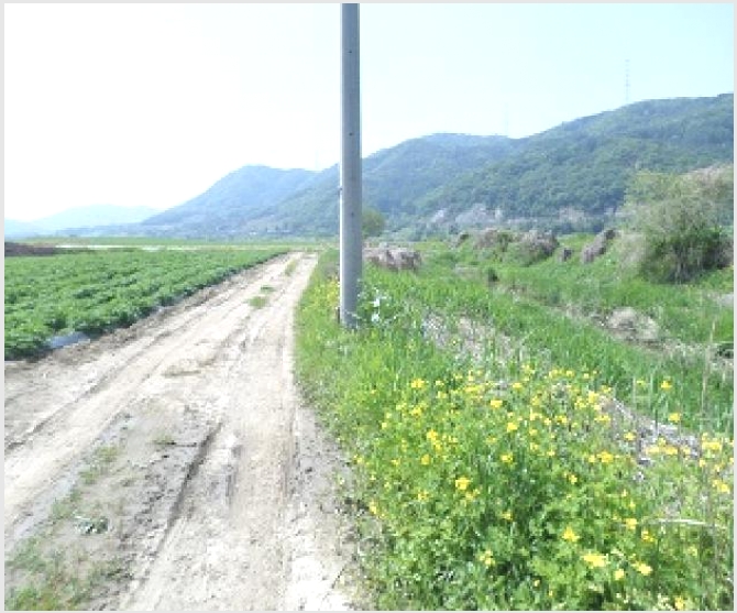 �� 9-���ֽ� �ηи� ���긮-��