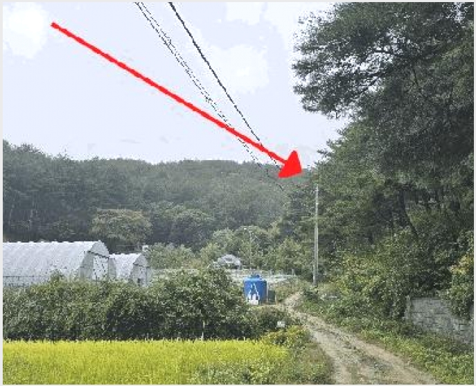 �� 6-��籺 �վ�� �Ͽյ���-��