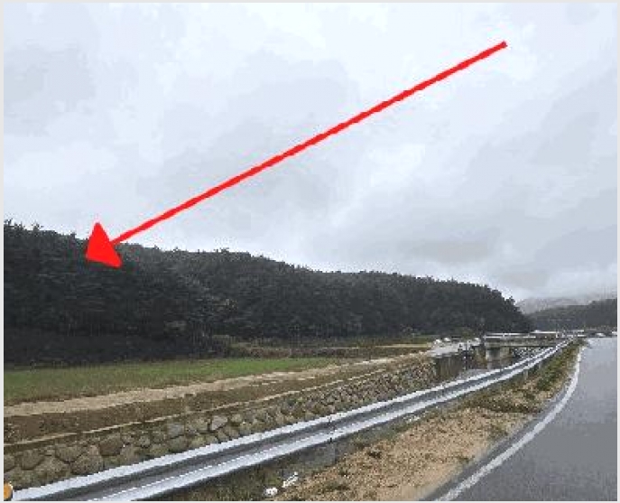 �� 8-��籺 �վ�� �Ͽյ���-��