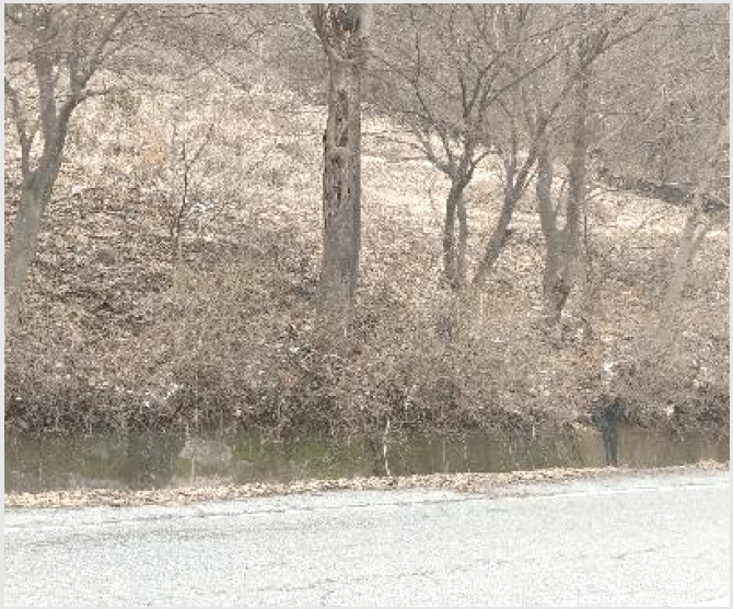 �� 9-������ �л�� ���Ҹ�-��