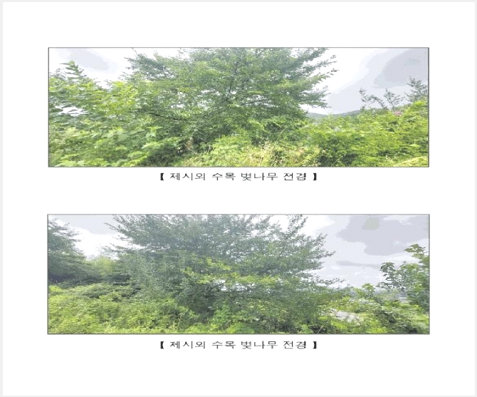 �ٸ����� 4-ȫ���� ȫ���� ���긮-�ٸ�����