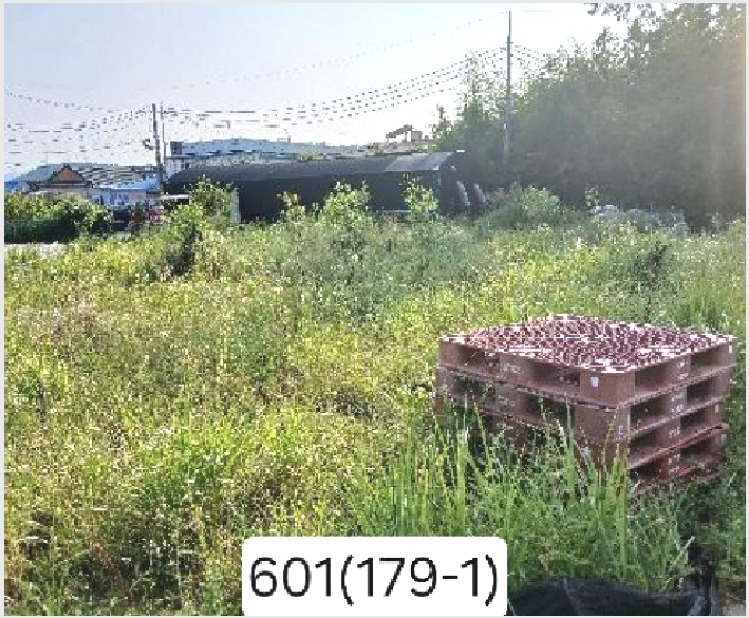 �� 10-���屺 �ϱ��� ��õ��-��