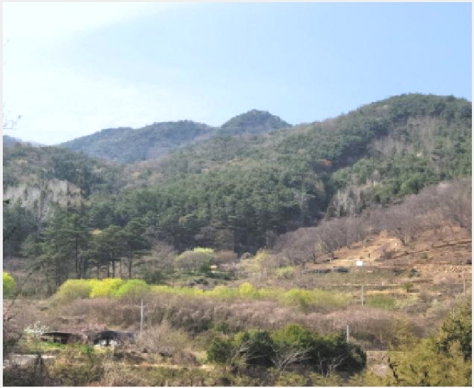 �� 10-����� ����� �߻긮-��