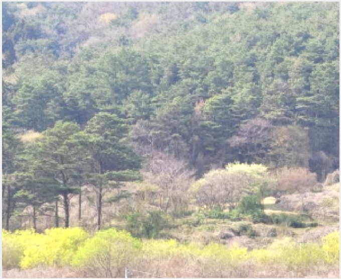 �� 9-����� ����� �߻긮-��