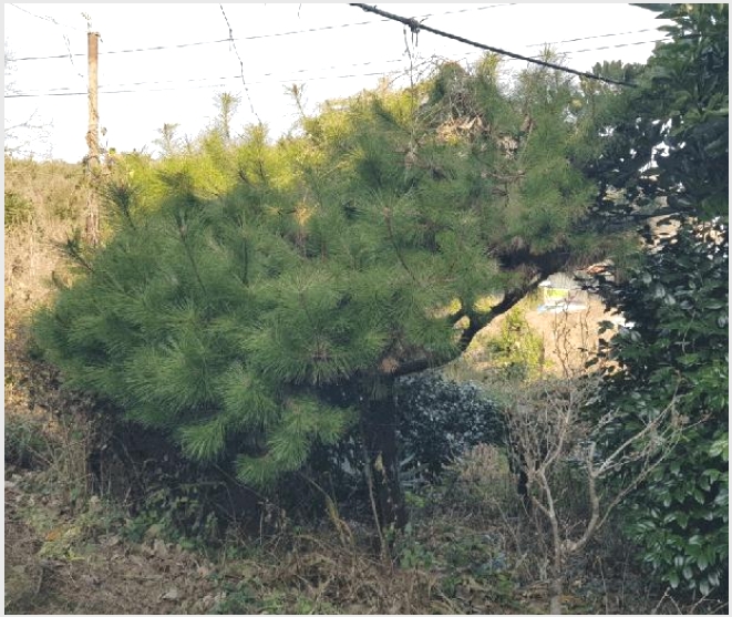 �Ӿ� 8-�ϵ��� �ϵ��� ���븮-�Ӿ�
