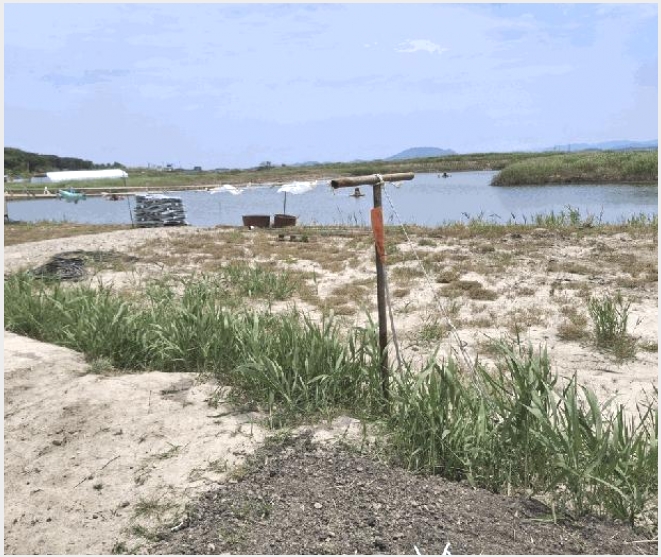�Ӿ� 4-�ξȱ� ������ ������-�Ӿ�