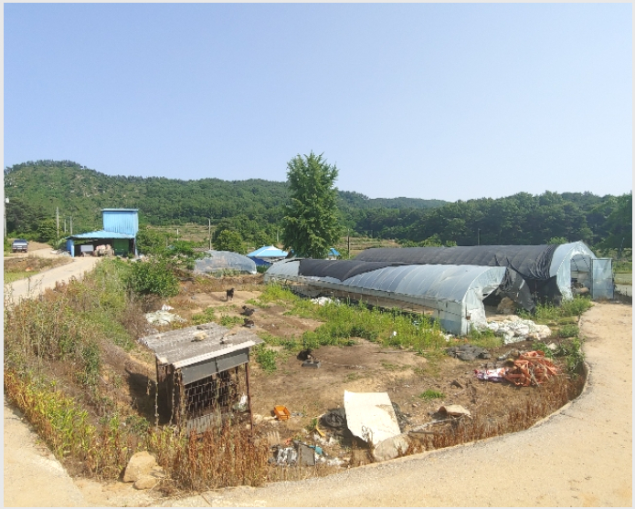 ���� 5-����� �뼺�� ��Ƽ��-����