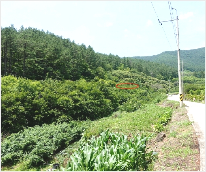 �� 8-����� ����� �߻긮-��
