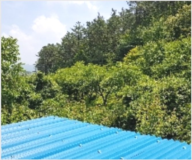 �� 4-����� ����� �߻긮-��