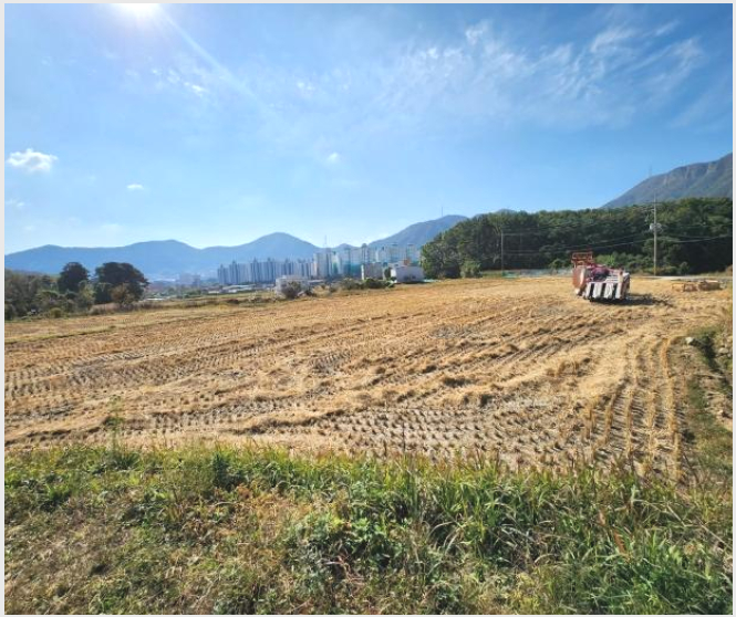�� 10-���屺 ������ �����-��