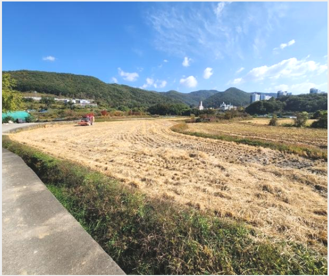 �� 5-���屺 ������ �����-��