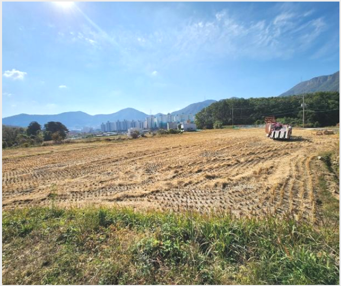 �� 6-���屺 ������ �����-��