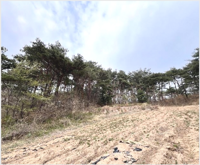 �Ӿ� 8-������ �׿ո� ������-�Ӿ�