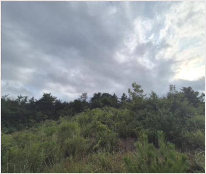 �� 5-���ֽ� �ϱ��� 326-5-��