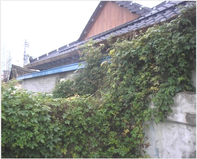 ���� 5-�ϱ� �žȵ� 650-14-����