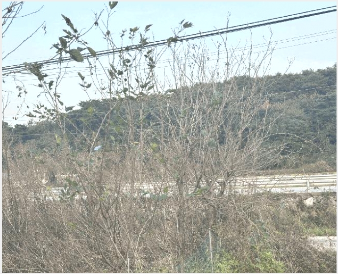 �� 5-�ݳ��� ������ 320-2-��