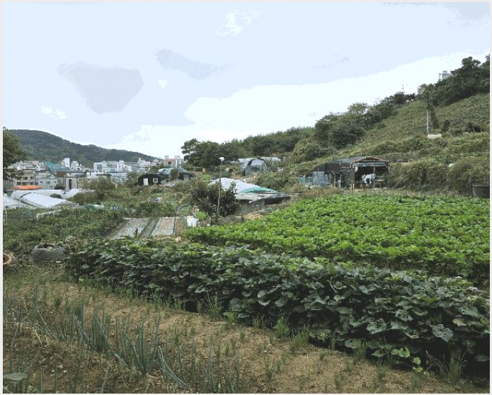 �� 4-�뿵�� ������ 50-��