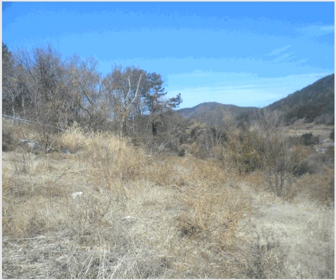 �� 10-�뿵�� �򸲵� 411-2-��