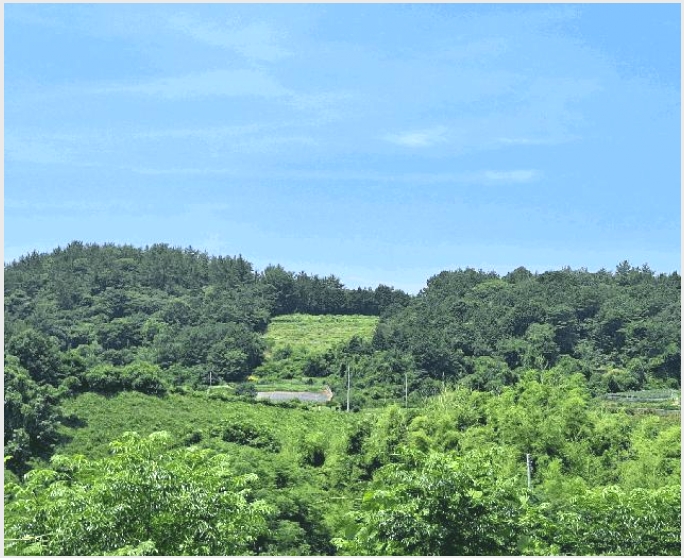 �Ӿ� 6-������ ���̸� ���긮-�Ӿ�