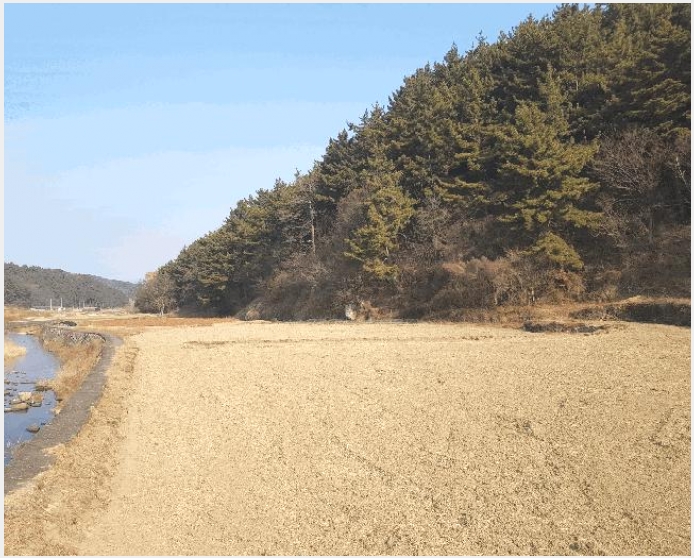 �� 6-���ر� ������ ������-��