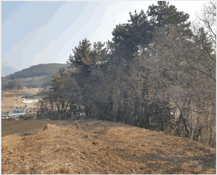 �� 5-���ر� ������ ������-��