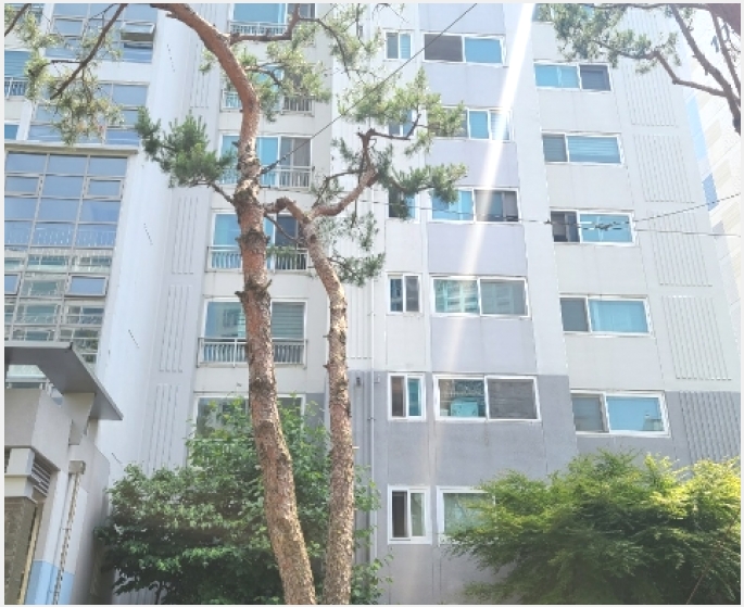 ����Ʈ 8-�뿵�� ������ �׸���-����Ʈ