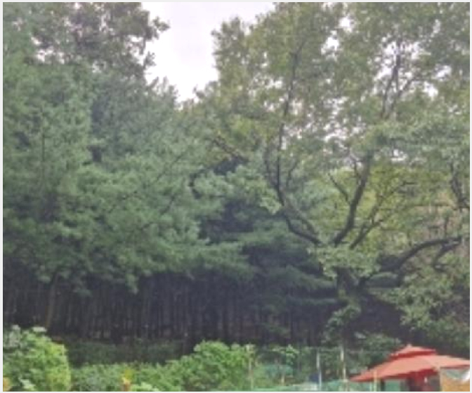 �Ӿ� 8-������ �꺻�� ��105-�Ӿ�