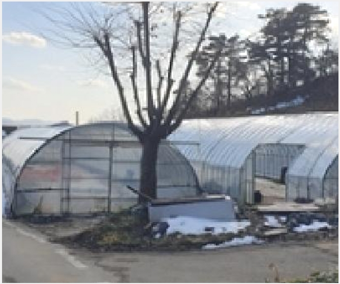 ���� 8-ȫ���� ȫ���� �Ű渮-����
