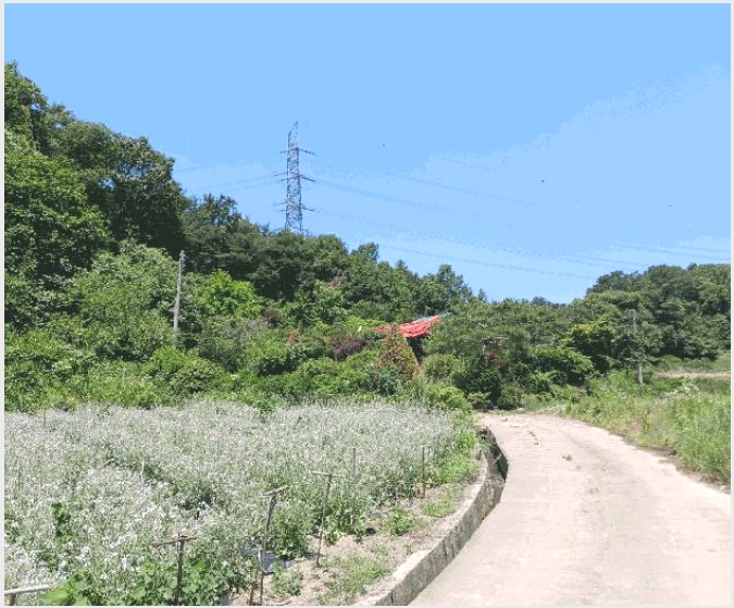 �ܵ����� 6-û�籺 ���� ����-�ܵ�����