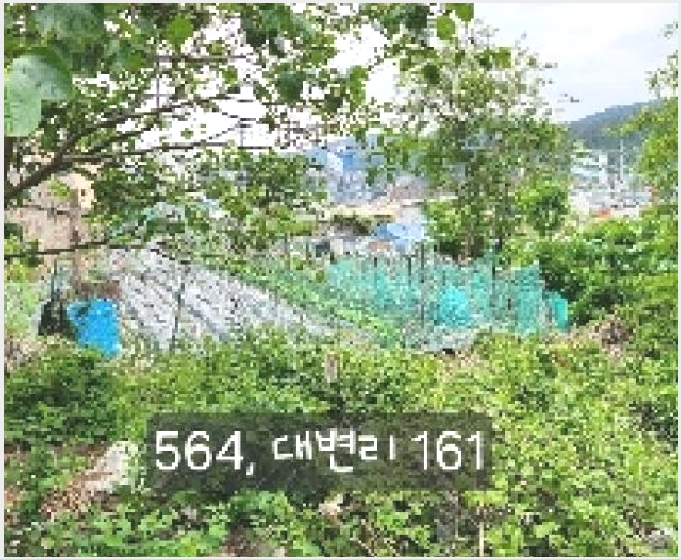 �� 5-���屺 ������ �뺯��-��