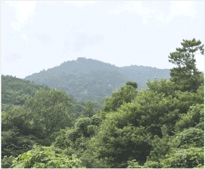 �Ӿ� 4-������ ���� ��-�Ӿ�