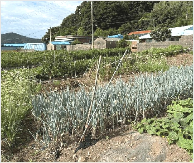 �� 6-�ϵ��� �ϵ��� ��Ÿ�-��