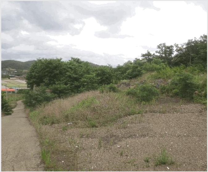 �� 4-û���� ���ϸ� ���븮-��