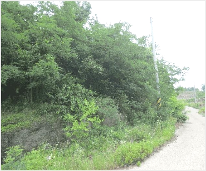 �� 8-û���� ���ϸ� ���븮-��