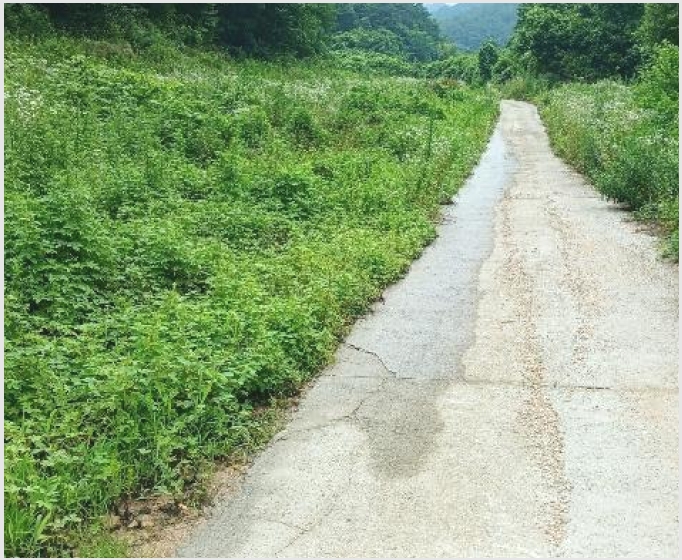 �� 5-��â�� ������ ��긮-��