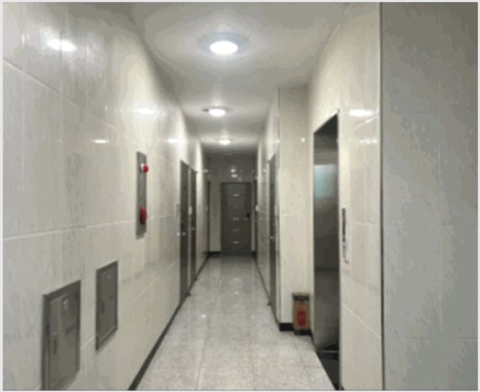 �ٸ����� 5-���ֽ� ����� ������-�ٸ�����