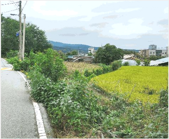 ���� 7-�屺�� ���ȸ� 311-����
