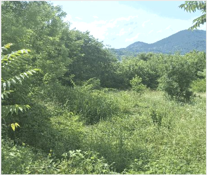 �� 4-ȫ���� ��õ�� ������-��